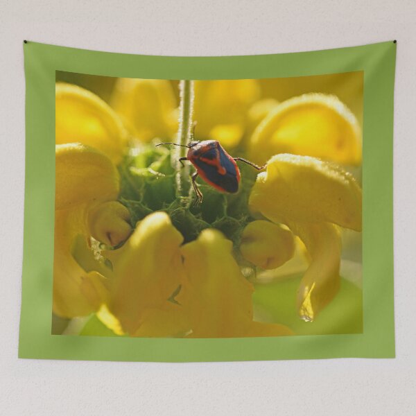 Item preview, Exploring designed and sold by imaginethis.