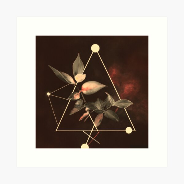 Flora Tri Bonze Art Print