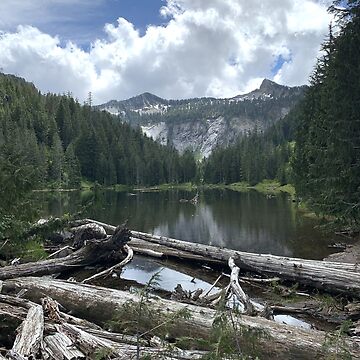 Retailer Overcast Lake Metal Print