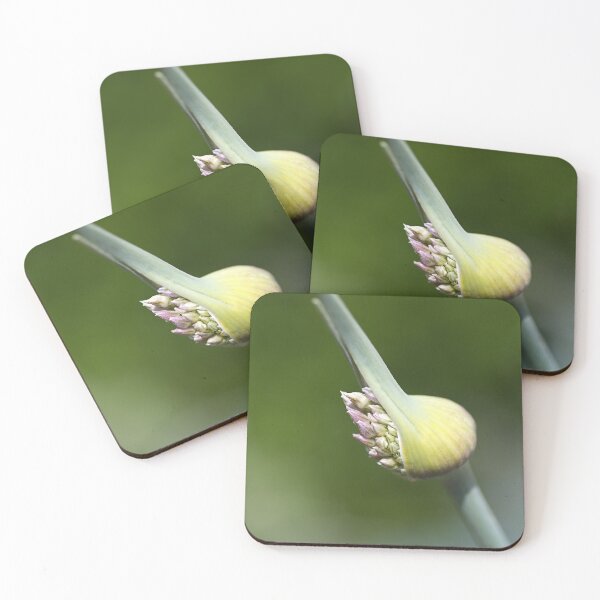Item preview, World Of Garlic designed and sold by Joy Watson - Natural Light Photography .