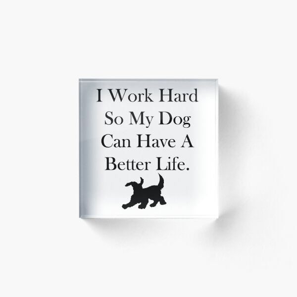 I Work Hard Acrylic Block