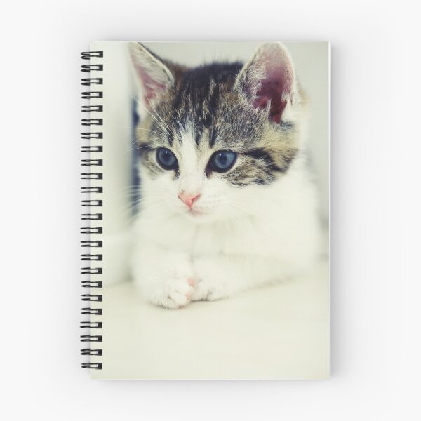 Item preview, cads designed and sold by Falko-Follert.
