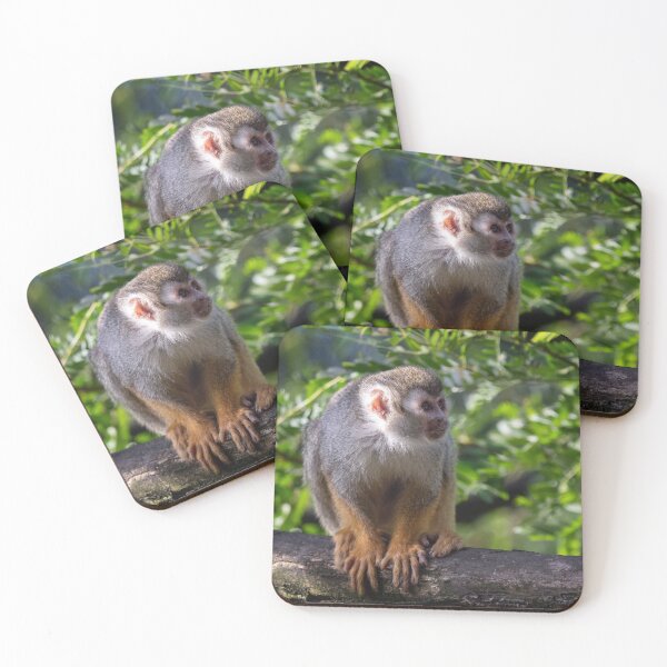 Item preview, Common squirrel monkey on tree in the nature. designed and sold by LubosChlubny.