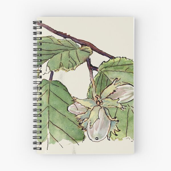 Item preview, Hazelnuts peggy nuts cob nuts designed and sold by lindaknight.
