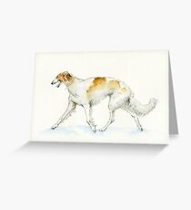 Russian borzoi Greeting Card
