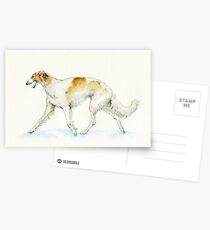 Russian borzoi Postcards