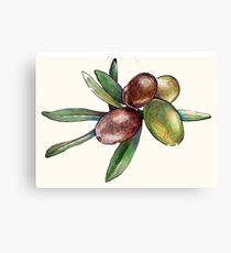 Olive Canvas Print