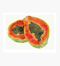 Pawpaw paw paw Photographic Print