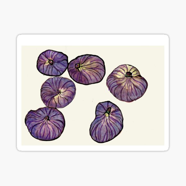 "Figs" Sticker for Sale by lindaknight Redbubble
