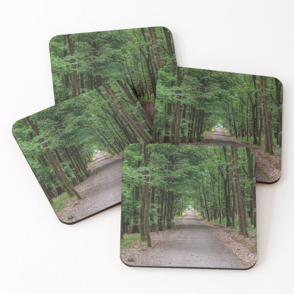 Item preview, Walking path in forest. Forest road. designed and sold by LubosChlubny.
