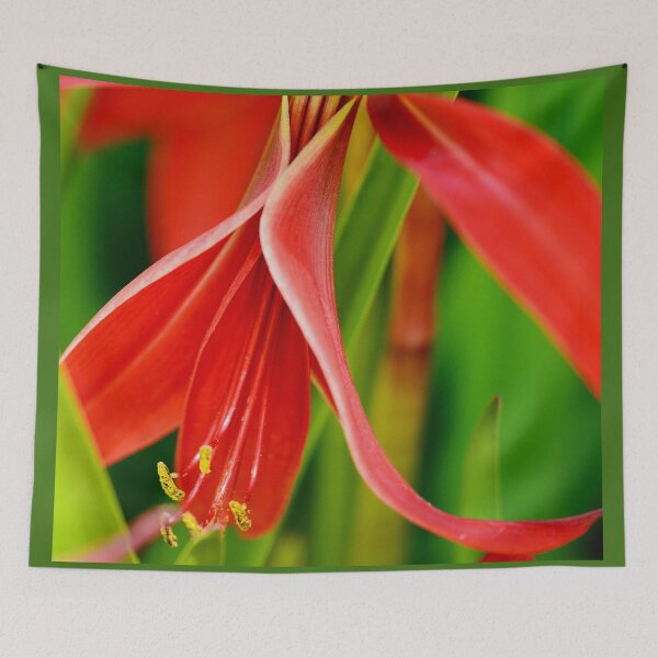 Item preview, Jacobean Lily designed and sold by imaginethis.