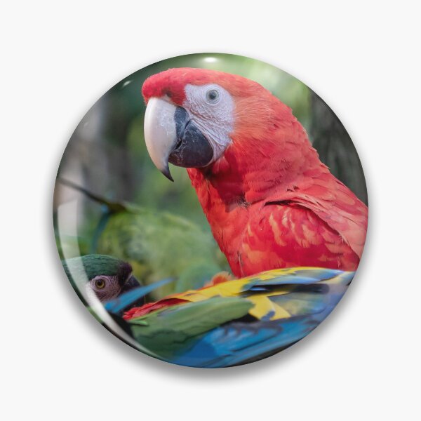 Item preview, Group of Ara parrots, Red parrot Scarlet Macaw designed and sold by LubosChlubny.