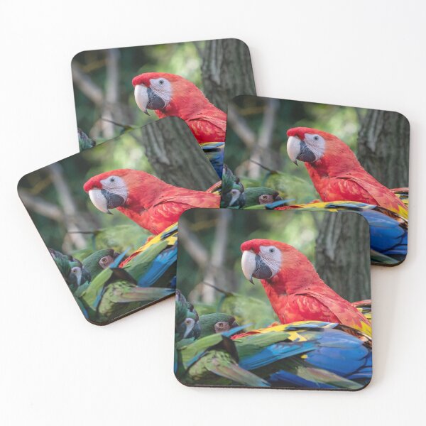 Item preview, Group of Ara parrots, Red parrot Scarlet Macaw designed and sold by LubosChlubny.