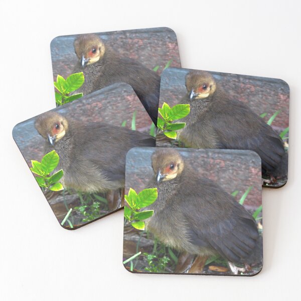 Item preview, The Bush Turkey Chick! designed and sold by Mickangelhere.