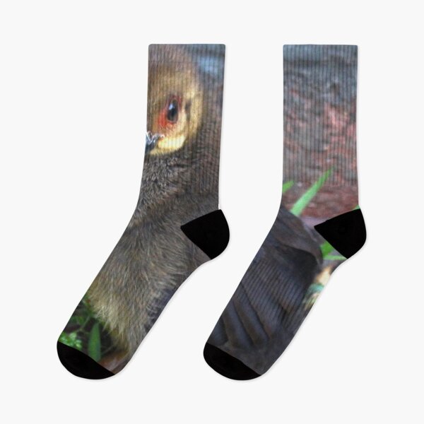Item preview, The Bush Turkey Chick! designed and sold by Mickangelhere.