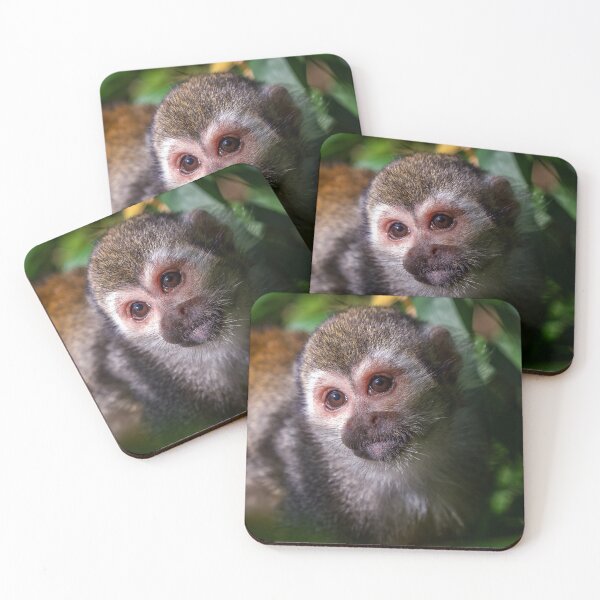 Item preview, Common squirrel monkey on tree in the nature. designed and sold by LubosChlubny.
