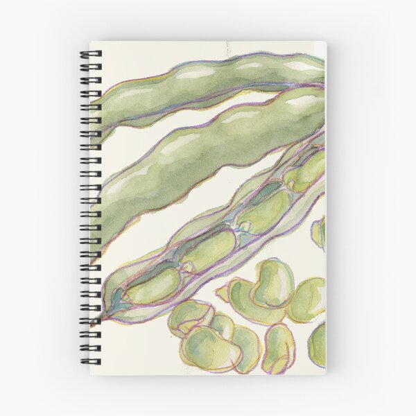 Item preview, Broad beans designed and sold by lindaknight.