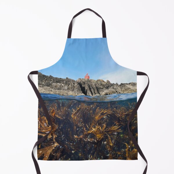 Item preview, Rocky coast with a lighthouse and kelp underwater Atlantic ocean Spain designed and sold by Seaphotoart.