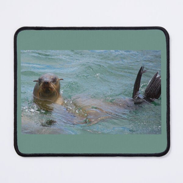 Item preview, Seal in the Sea designed and sold by David JC.