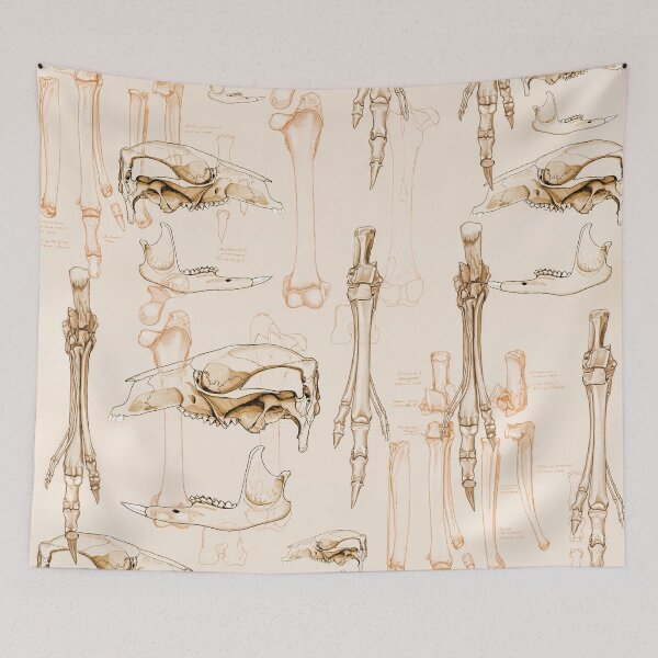 Item preview, Kangaroo skeleton designed and sold by GorgeousScience.