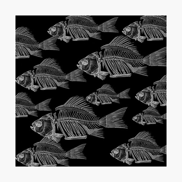 Item preview, Fishies designed and sold by GorgeousScience.