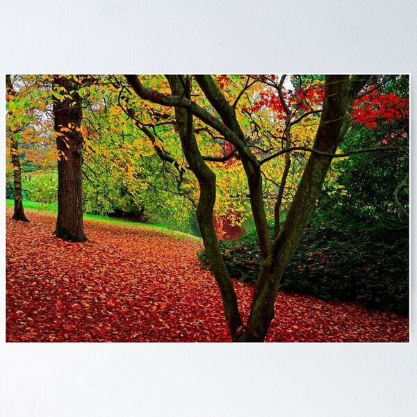 Item preview, Autumn Is A Painter designed and sold by atomov.