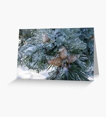 Mother Nature's Christmas Decorations - Pine Cones Greeting Card