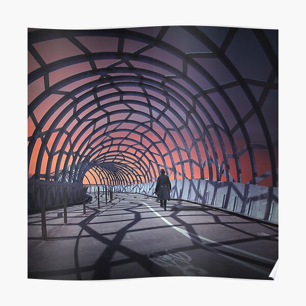 A tangled web we weave Poster