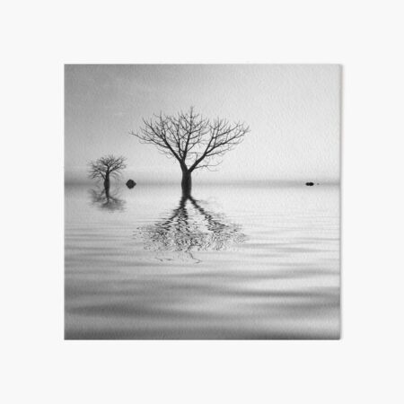 Flooded Art Board Print
