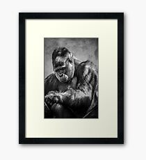 Silver Back Gorilla Framed Print