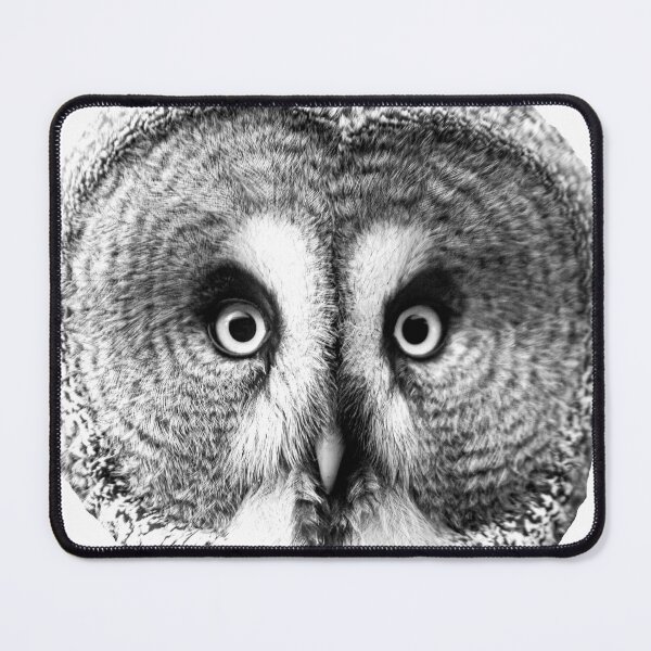 Item preview, Owlsome great great owl designed and sold by Dalyndigital Photography.