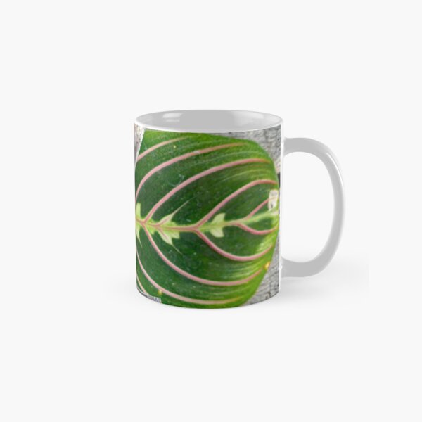Predator of the Garden. Classic Mug
