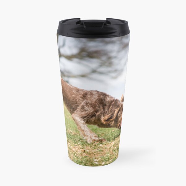 Brown Roan Italian Spinone Dog in Action Travel Mug