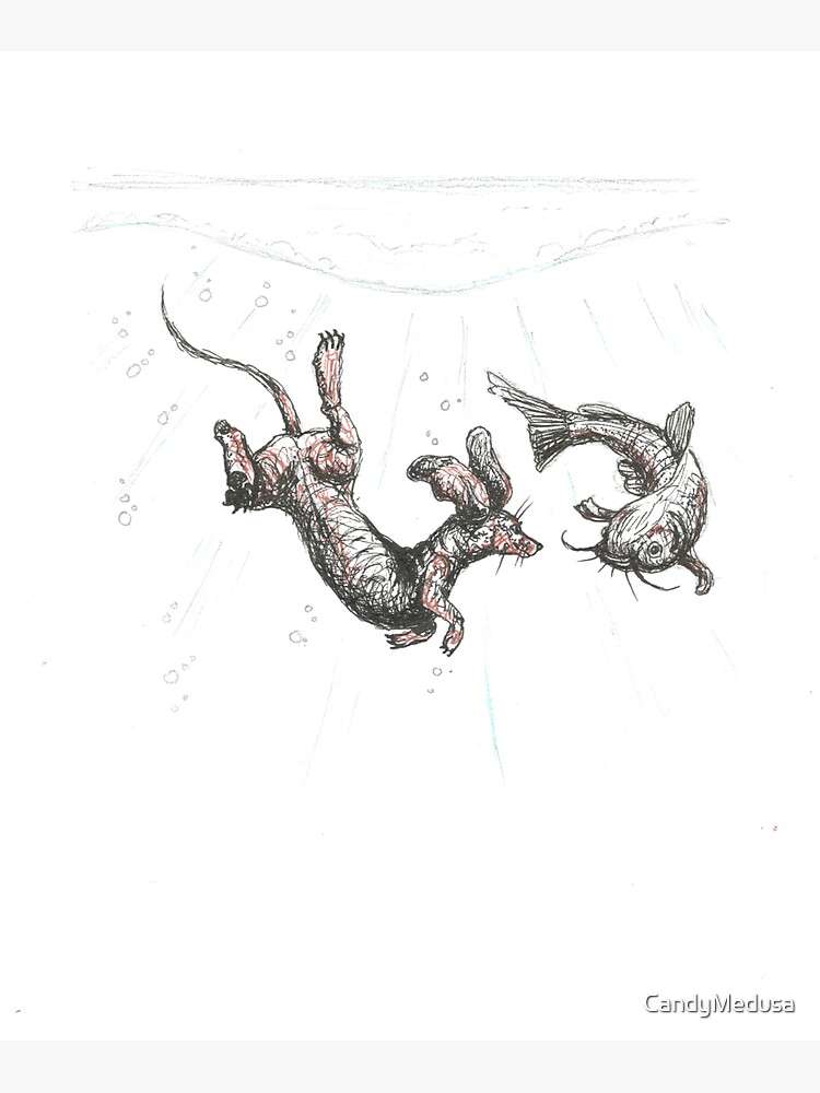 Thumbnail 3 of 3, Sticker, Dachshund underwater. Sausage dog swimming with cat fish, illustration. designed and sold by CandyMedusa.