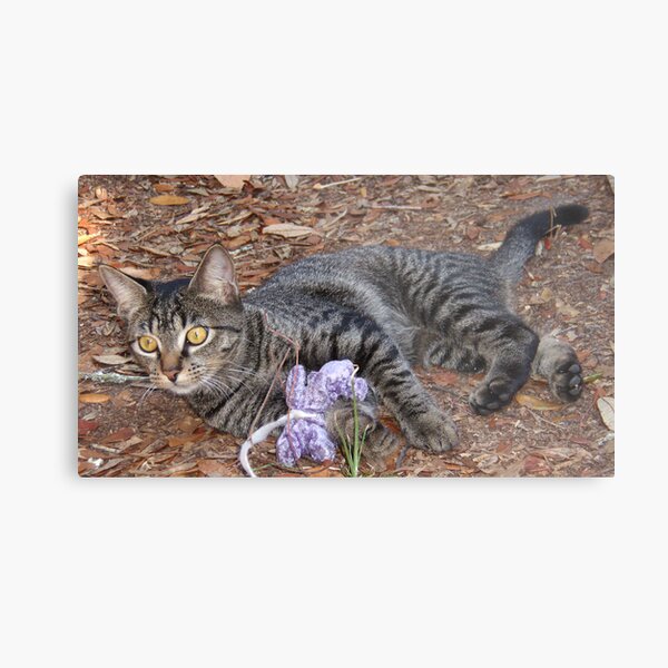 Play Time Metal Print