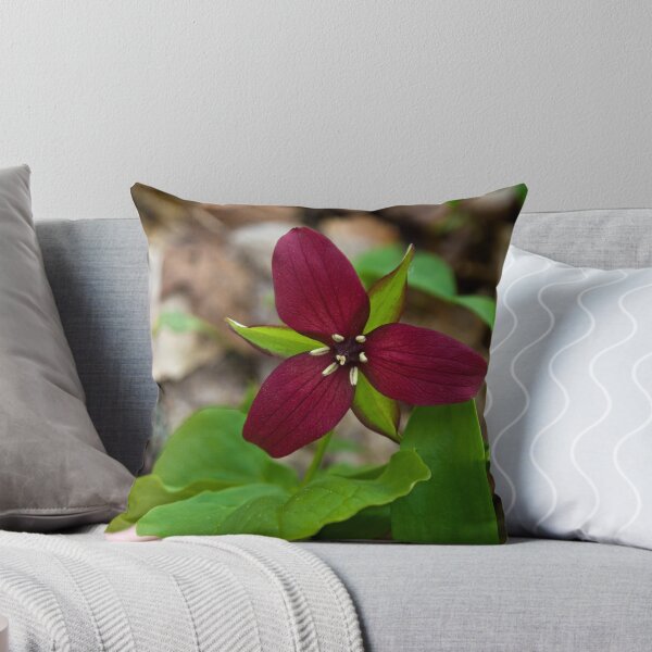 Item preview, Trillium designed and sold by Kathy Weaver.
