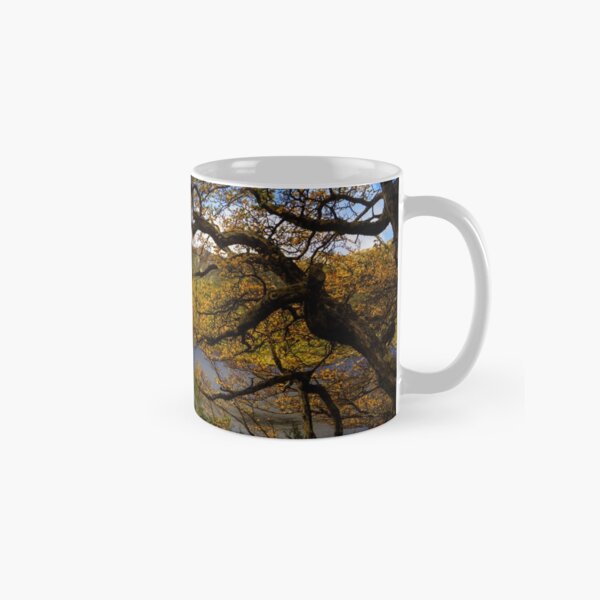 The beautiful Fagus Classic Mug