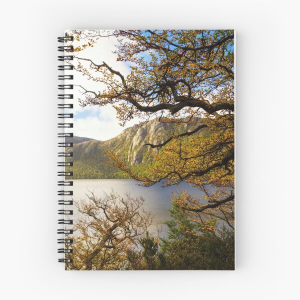 Item preview, The beautiful Fagus designed and sold by Mel Brackstone.
