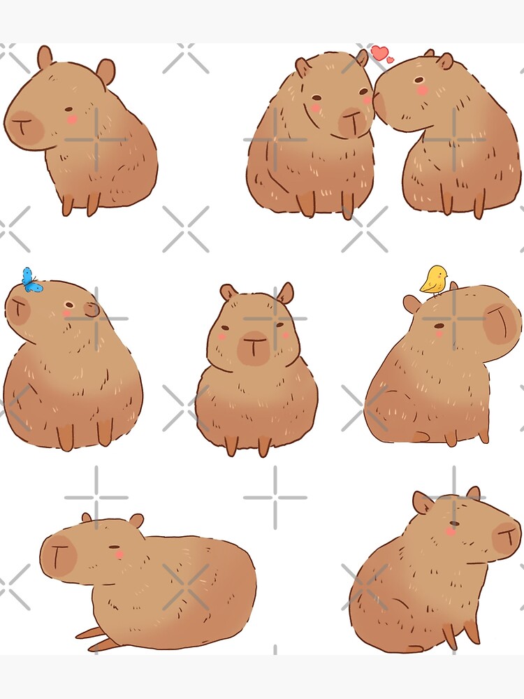 Lá capivara  Cute animal drawings, Capybara, Cute animal drawings