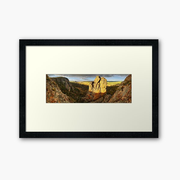Framed Art Print