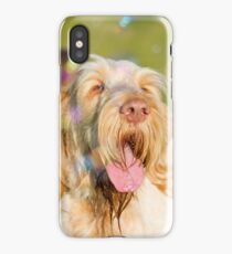 Soap Film - Orange and White Italian Spinone Dog Head Shot with Bubbles iPhone Case