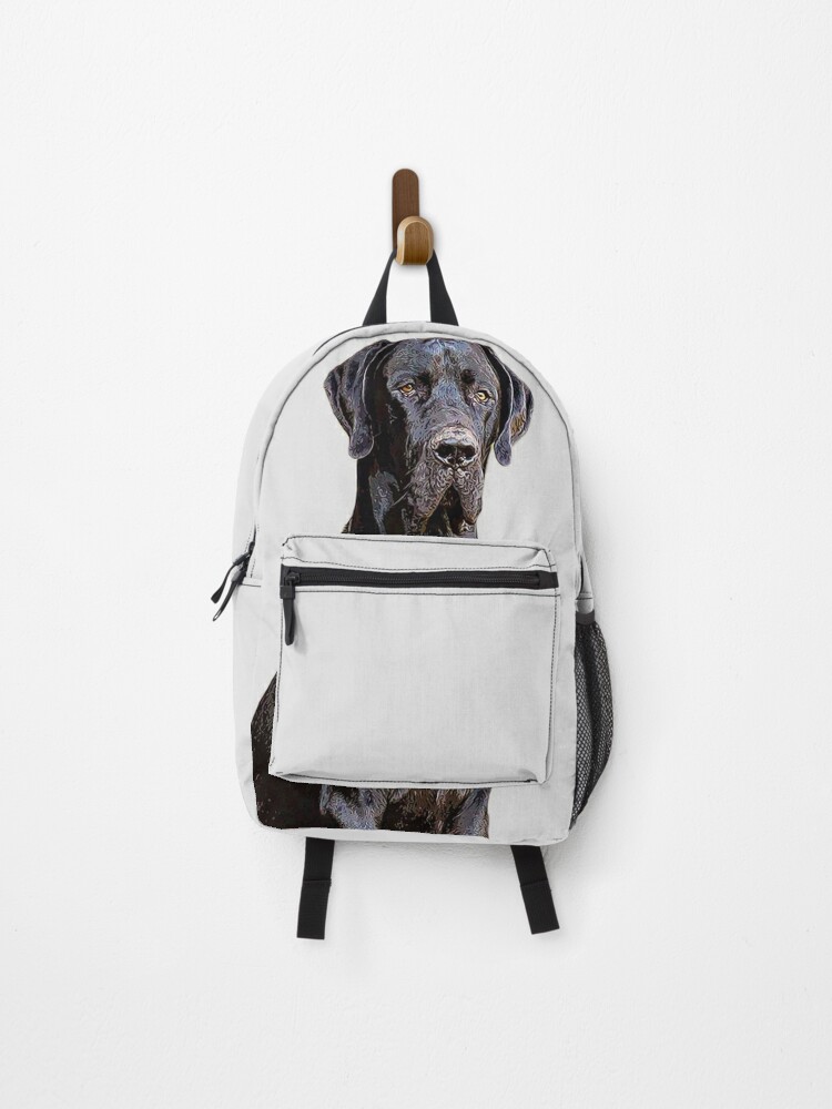 Great on sale dane backpack