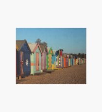 Bathing Beauties Art Board
