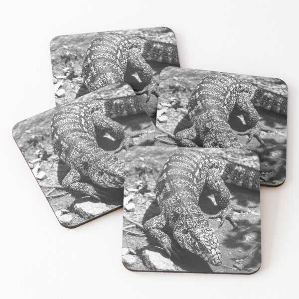 Item preview, lizard in the sun. designed and sold by Nino rocha fotografia.