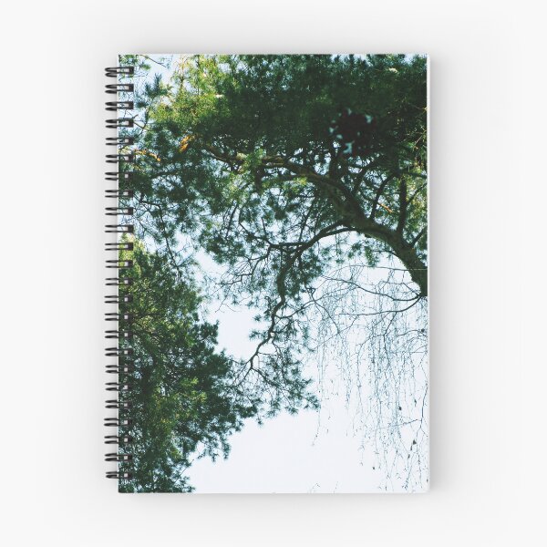 Item preview, Pine tree forest photography | Pine tree photo designed and sold by lausn.