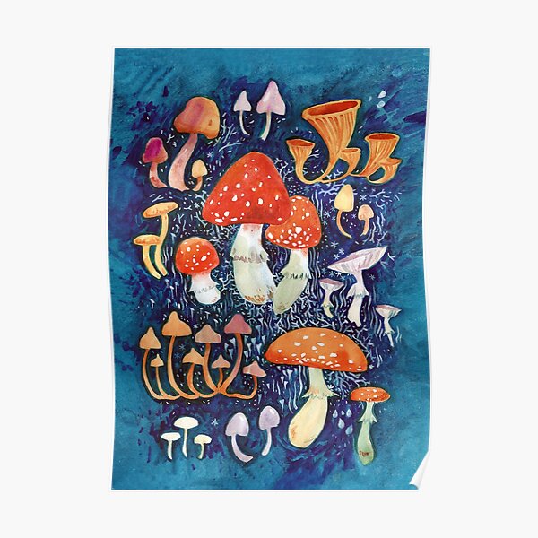 Mushrooms Poster