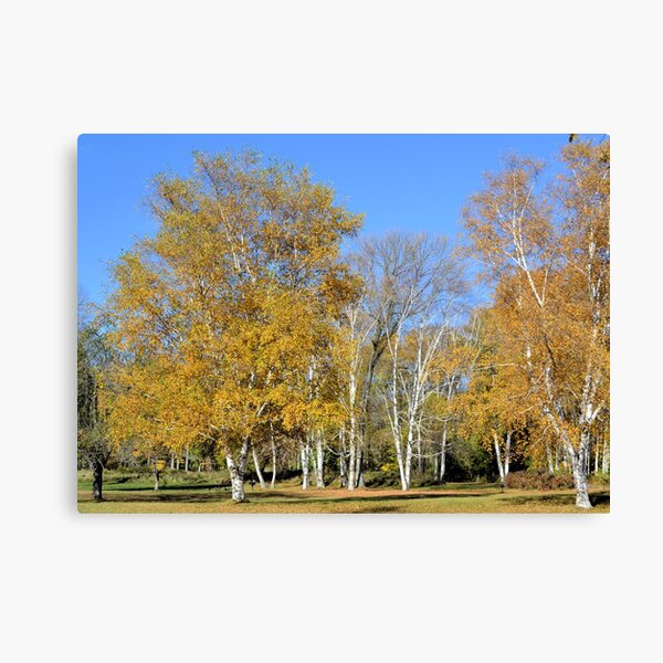 Item preview, Autumn Picnic Area designed and sold by Kathleen Brant.
