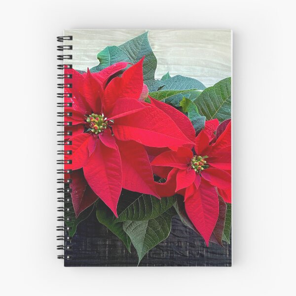 Item preview, Poinsettia Plant  designed and sold by Colli13.