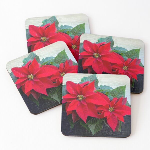 Item preview, Poinsettia Plant  designed and sold by Colli13.