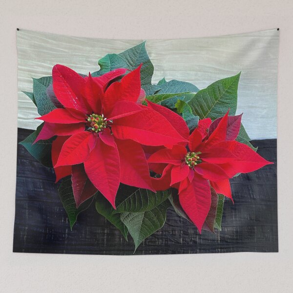 Item preview, Poinsettia Plant  designed and sold by Colli13.